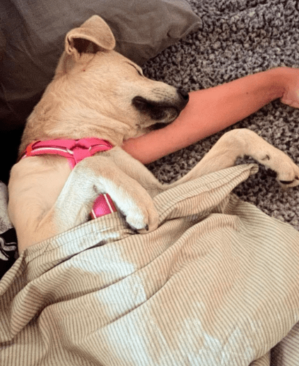 2025 10 05 15 48 36 posteingang sina.rieke kroeger@oetker.com outlook