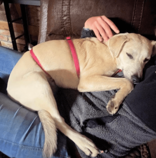 2025 10 05 15 48 43 posteingang sina.rieke kroeger@oetker.com outlook