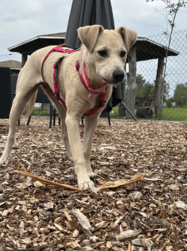 2025 10 05 15 48 50 posteingang sina.rieke kroeger@oetker.com outlook