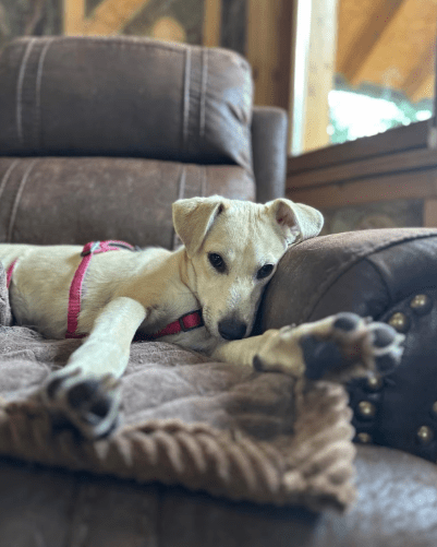 2025 10 05 15 48 56 posteingang sina.rieke kroeger@oetker.com outlook