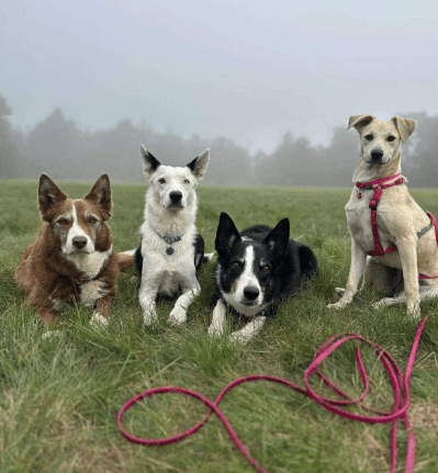 2025 10 05 15 49 05 posteingang sina.rieke kroeger@oetker.com outlook