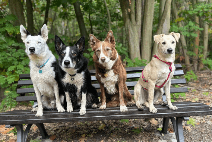 2025 10 05 15 49 12 posteingang sina.rieke kroeger@oetker.com outlook