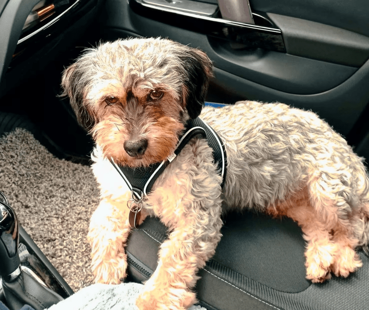 2025 11 21 11 30 58 Posteingang Sina.Rieke Kroeger@oetker.com Outlook