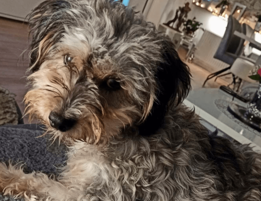 2025 11 21 11 31 02 Posteingang Sina.Rieke Kroeger@oetker.com Outlook