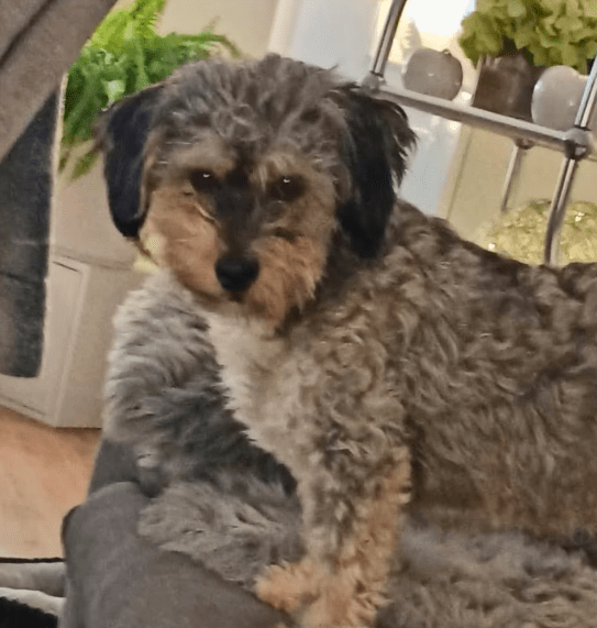 2025 11 21 11 31 08 Posteingang Sina.Rieke Kroeger@oetker.com Outlook