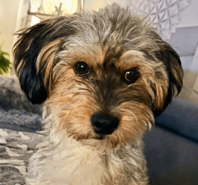 2025 11 21 11 31 12 Posteingang Sina.Rieke Kroeger@oetker.com Outlook