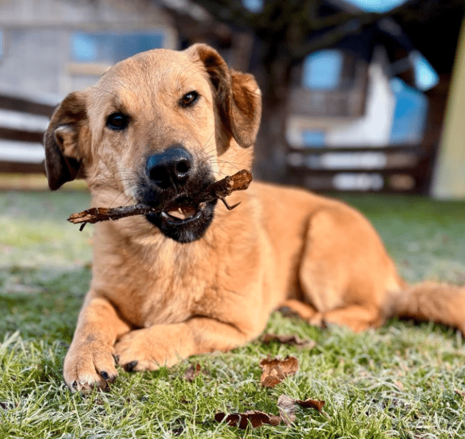 2025 12 22 13 58 33 Posteingang Sina.Rieke Kroeger@oetker.com Outlook