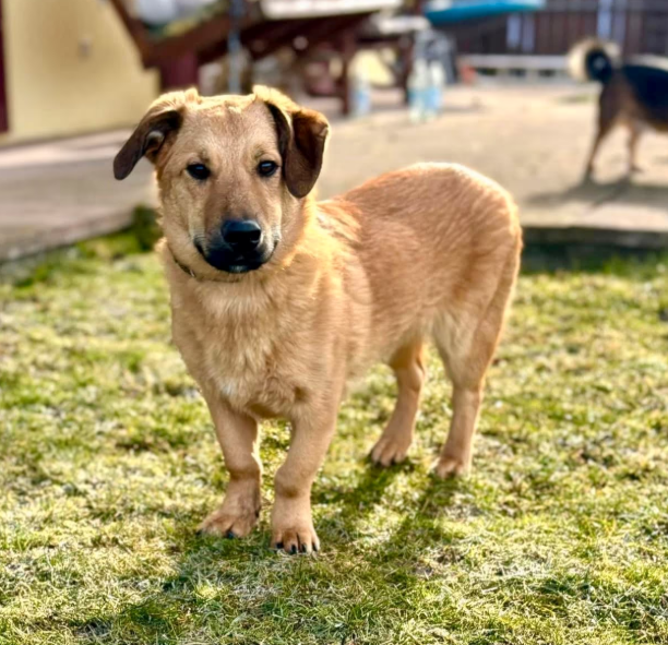 2025 12 22 13 58 37 Posteingang Sina.Rieke Kroeger@oetker.com Outlook