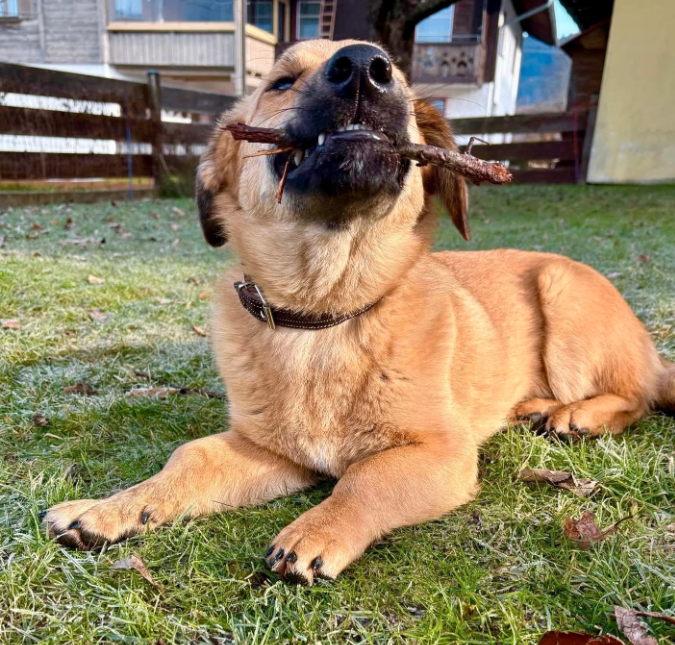 2025 12 22 13 58 41 Posteingang Sina.Rieke Kroeger@oetker.com Outlook