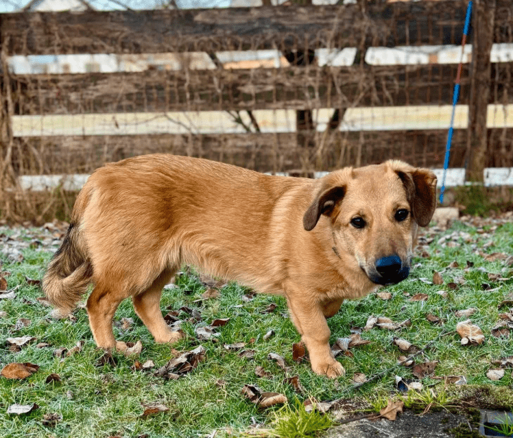 2025 12 22 13 58 44 Posteingang Sina.Rieke Kroeger@oetker.com Outlook