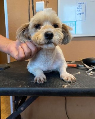 Winnie