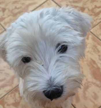 517944338 3768222786644631 8068557121203557505 n