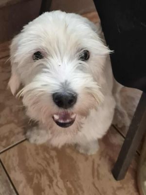 519986724 1518177766220773 4545055082753680314 n