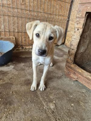 521119575 24173653948993209 6628347512194879789 n