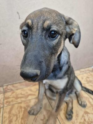 521578992 1931055937680115 2886095579248516724 n