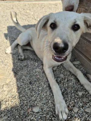 528641965 800719019781740 8522164848480939125 n