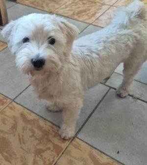 528719805 1784431819104623 3489897143881100438 n