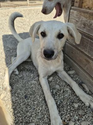 528814518 25354788724111853 8750527269219030336 n