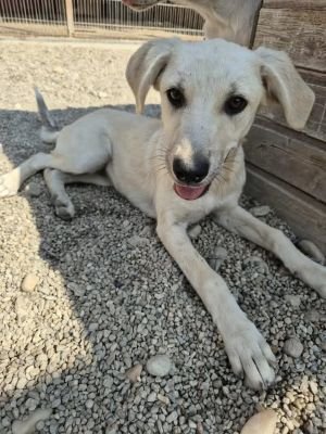 530268652 2395926670808511 1315271075604877419 n