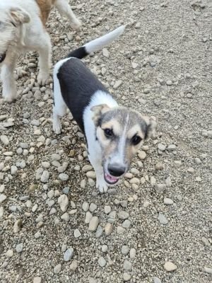 530445679 2018096705470824 9065136404320047820 n