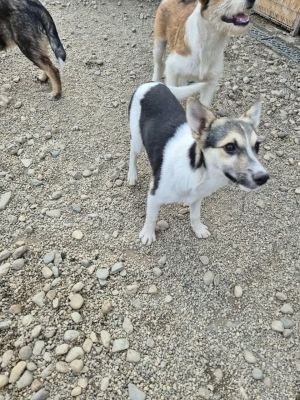 530486968 1096771569248164 880571925252229158 n