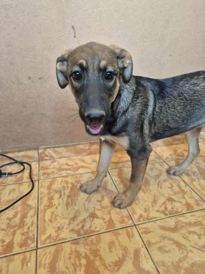 531501779 1287035386537104 2826754302518335369 n