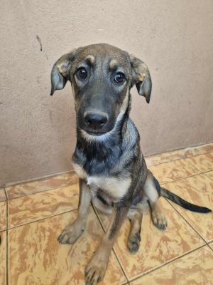 531708098 1744929496125688 5379405398076777131 n