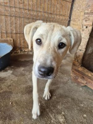 533409711 1928730987967856 2628293879160739932 n