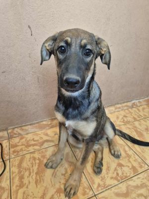 533413634 1337505344622116 7016816007376487087 n