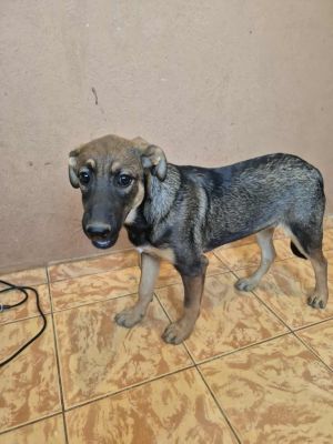 535604769 1265718042016570 1587811693382386121 n