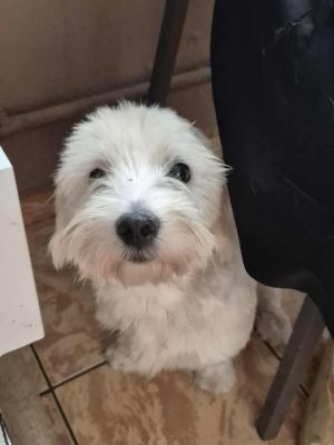 535604769 1273311707867437 2133168479066344528 n