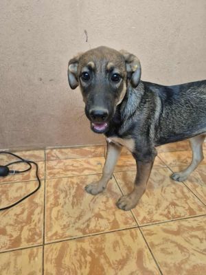 535820338 785336063872338 6086537766447680170 n