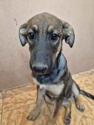 536244201 1660207401310761 3093280348352499283 n