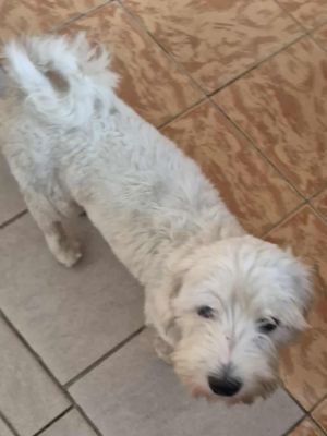 536257565 1326951132298409 4445661190828924166 n