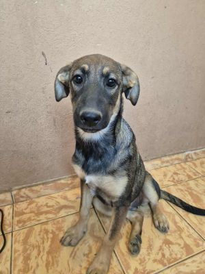 536284128 1484796412527728 7594307572214161590 n