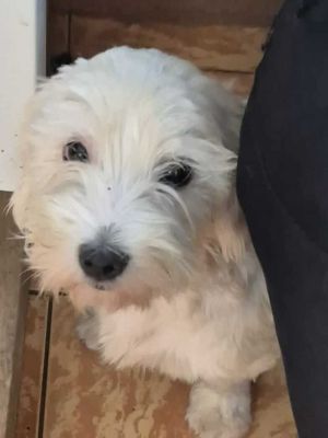 536325391 743409275164227 7615396650400760425 n