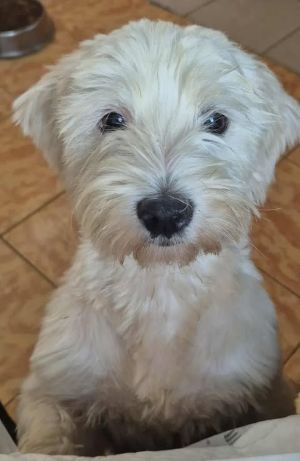 536343400 554840504318679 7758924563616639680 n