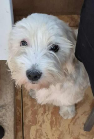 536374544 1310581407458327 6675573608207618057 n