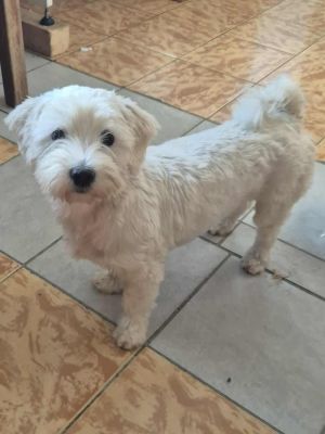 536818656 24562226646720057 5194415201154511172 n