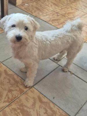 537083506 1114558593380878 5373496098268744996 n