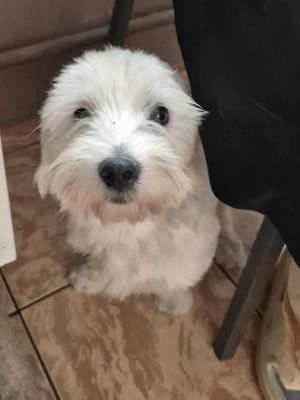 537795729 750261084587748 1276578035196271078 n