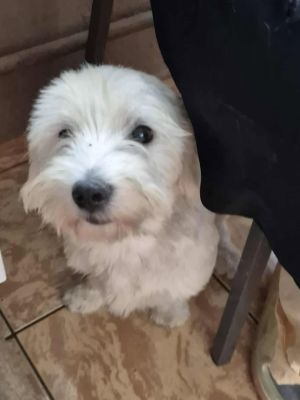 538261918 1162722485675730 7449914200656975379 n