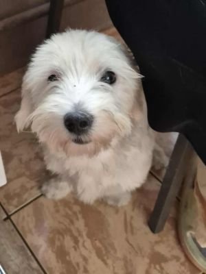 538642530 672631549196825 184528433526439536 n