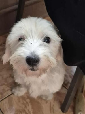 539605639 1282850646197804 6665728488155499826 n