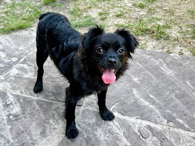 Img 2025 07 19 205632