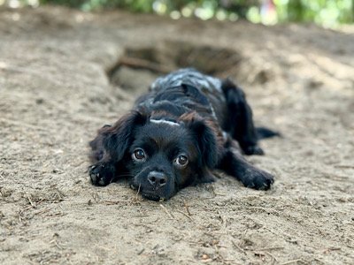 Img 2025 07 19 205712