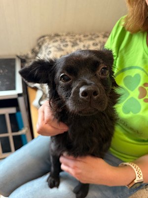 Img 2025 07 19 205747