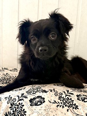 Img 2025 07 19 205808