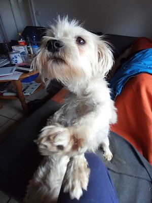Img 2025 08 03 105839