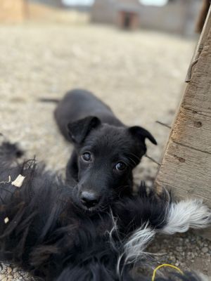 Whatsapp bild 2025 08 07 um 12.59.02 0d44d84b